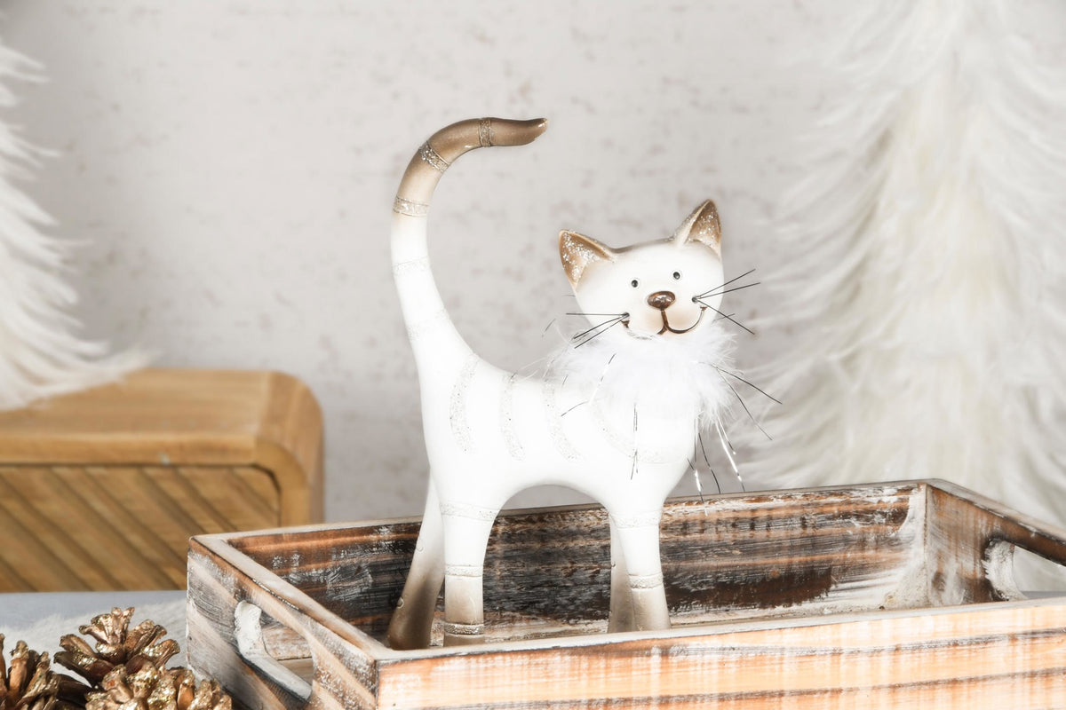 Pluizige poes staand