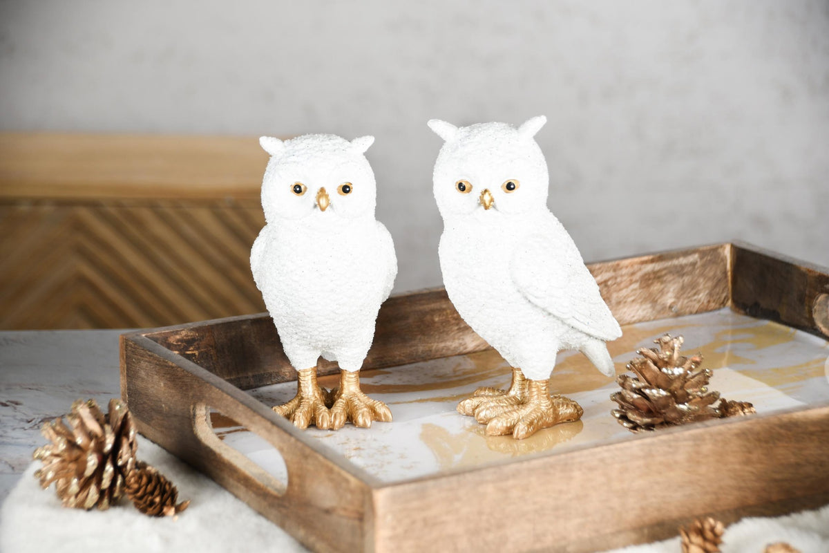 Set van twee sneeuwuilen