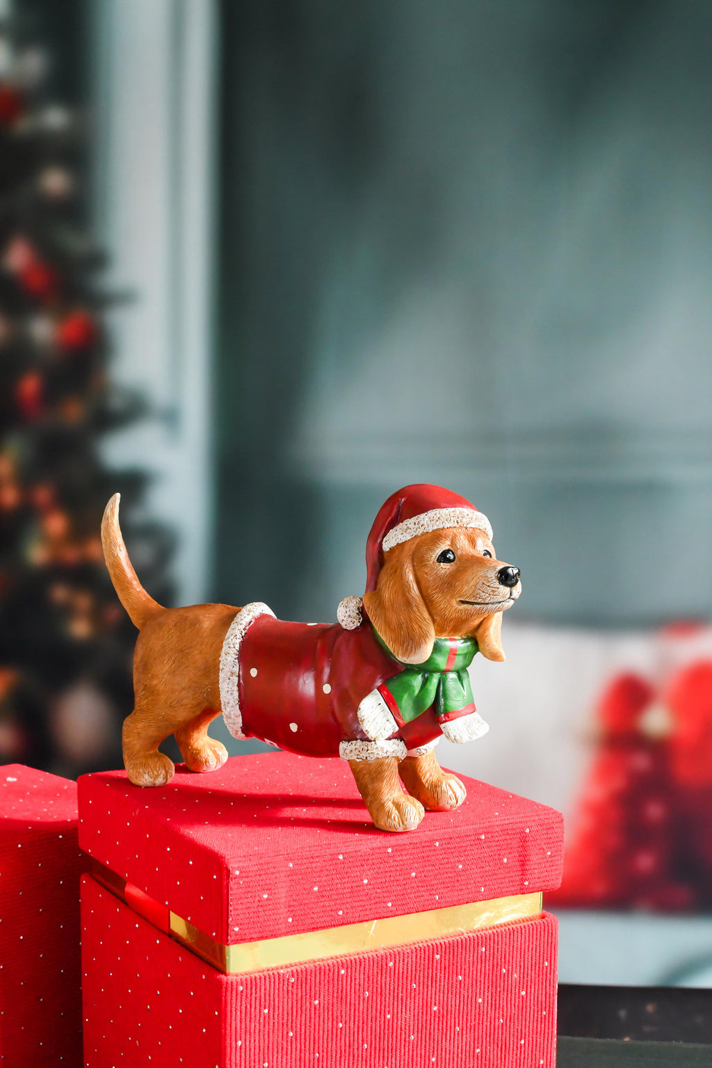 Teckel in kerstsfeer