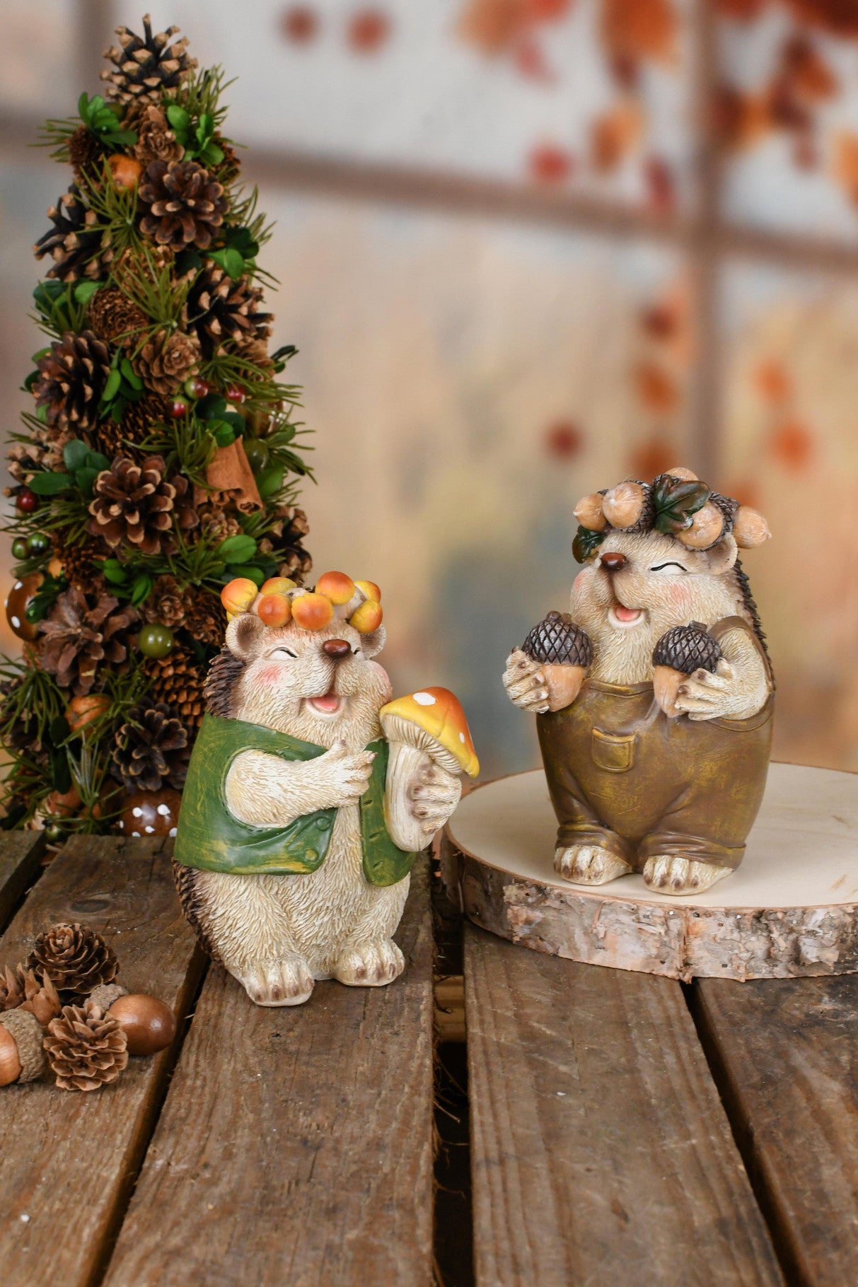 Set van twee egels