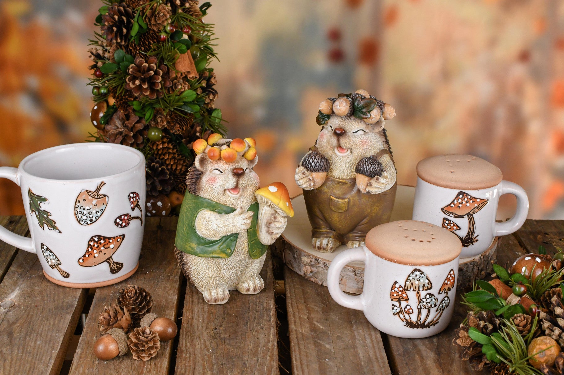 Set van twee egels