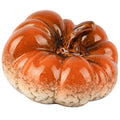 Decoratieve pompoen