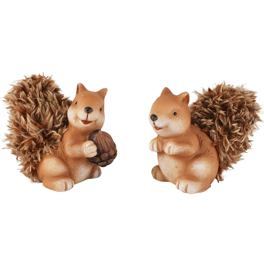 Set van twee eekhoorntjes